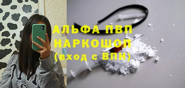 гидра Липки