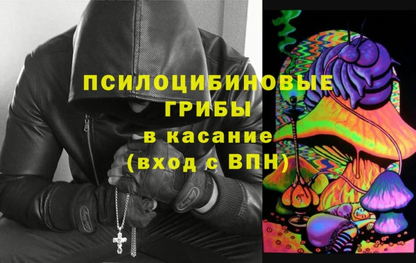 гидра Липки