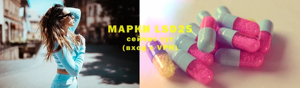винт Лабытнанги