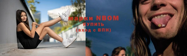 винт Лабытнанги