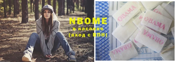 сатива Лагань