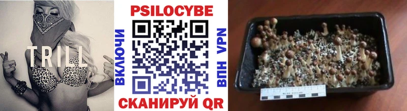 даркнет клад  закладки  Рыльск  Галлюциногенные грибы Psilocybine cubensis 